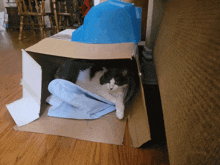 a black and white cat is laying in a cardboard box on the floor