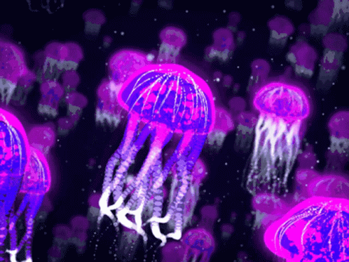 [Churras Filler]Praia - Página 3 Jellyfish-purple-jellyfish