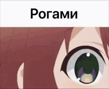 a close up of a girl 's eyes with the word pogami above