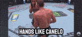 two men are fighting in a boxing ring with the words hands like canelo on the bottom .