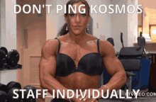 Kosmos Kosmos Staff GIF - Kosmos Kosmos Staff Dont Ping Kosmos Staff Individually GIFs