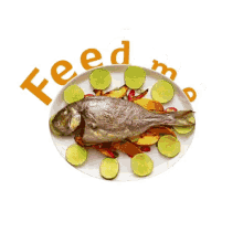 Feed Me Fish GIF