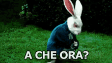 A Che Ora Orario Quando Orologio Coniglio Alice In Wonderland GIF - What Time When Rabbit GIFs
