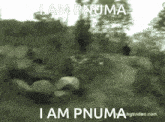 Pnuma Am GIF - Pnuma Am I GIFs