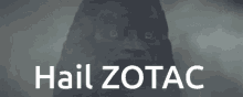 Hail Zotac GIF - Hail Zotac Zotac GIFs