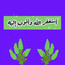 a purple background with arabic writing and two green plants on it
