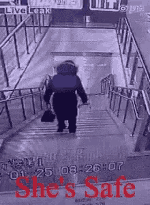 Shes Safe Falling Stairs GIF - Shes Safe Falling Stairs Tripping GIFs