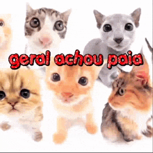 Paia Meme GIF - Paia Meme Brazil GIFs