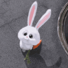 cute bunny carrot animated