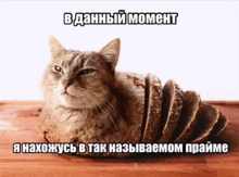 a cat is laying on a loaf of bread on a wooden table .