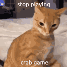 Stop Playing Crab Game GIF