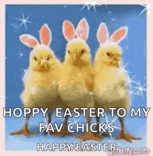 three chickens with bunny ears on their heads are standing next to each other .