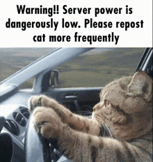 Server Power Saga Server Power Cat GIF - Server Power Saga Server Power Server Power Cat GIFs