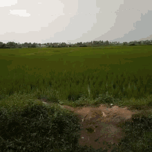 Agriculture GIF - Agriculture GIFs
