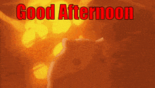 Good Afternoon Hamster GIF - Good Afternoon Hamster Explosion GIFs
