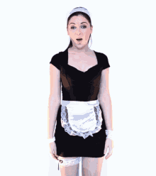 Henparty French Maid GIF