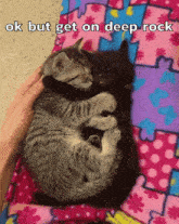 Deep Rock Galactic Cat GIF - Deep Rock Galactic Cat Cats GIFs