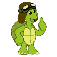job turtle
