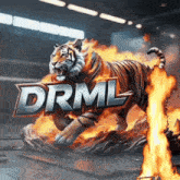 a statue of a tiger with drml written on it