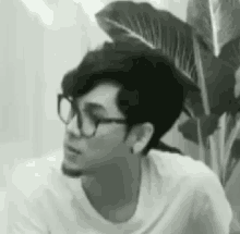 Tomisara What GIF - Tomisara What Funny Face GIFs