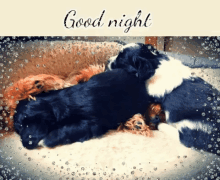 Good Night Sleep Time GIF - Good Night Sleep Time Cute GIFs