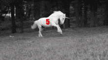 a unicorn with the number 5 painted on its back