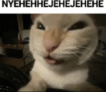 a close up of a cat making a funny face with the words nyehehhejehejehehe underneath it