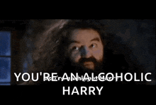 a man with a beard is saying you 're alcoholic harry