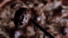 Freddy Kreuger Nightmare On Elm Street GIF - Freddy Kreuger Nightmare On Elm Street Gross GIFs