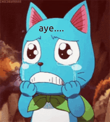 Sad Aye Fairy Tail Happy GIF - Sad Aye Fairy Tail Happy GIFs