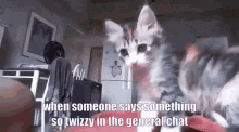 when someone says something so twizzy cat