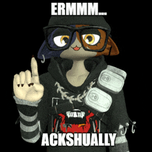 a cat wearing glasses and a black hoodie says ermm ackshually