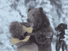 Bear Guitar GIF - Bear Guitar La Vida Es Una Lenteja GIFs