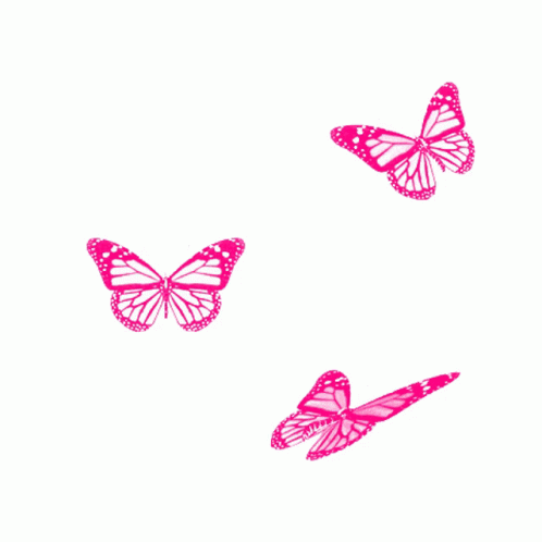 Borboletas Butterfly Sticker - Borboletas Butterfly Flapping Wings ...