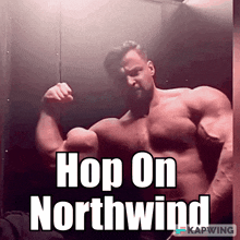 Northwind Roblox GIF - Northwind Roblox Hop On Northwind GIFs