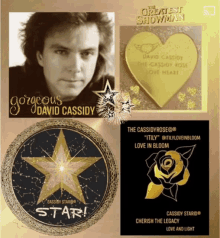 David Cassidy The Cassidy Rose GIF - David Cassidy The Cassidy Rose Cassidy Star GIFs
