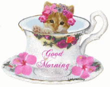 Good Morning Kitten GIF - Good Morning Kitten Shiny GIFs