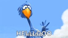 Hello Hi GIF - Hello Hi Bluebird GIFs