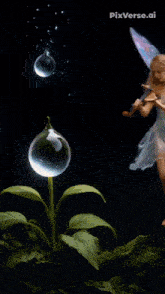 a fairy is blowing bubbles from a flower