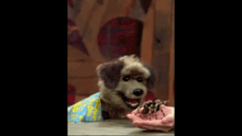 a stuffed dog wearing a blue and yellow shirt is sitting at a table holding a pink object .