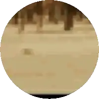 a circle with a blurred image of a wooden surface