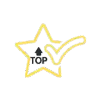 a yellow star with a check mark and the word top