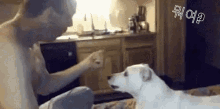 뭐여 신기 개신기 GIF - Dog Magic Trick Whoa GIFs
