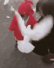 Pombo Pássaro Pru Comendo Devolvemeulanche Criança GIF - Pigeon Bird Pru GIFs
