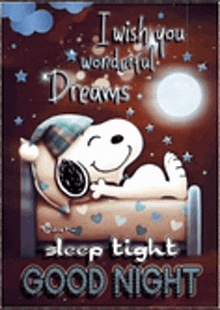 snoopy is sleeping in a bed with the words `` i wish you wonderful dreams , sleep tight good night ''