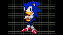 Sonic The Hedgehog Shoes GIF - Sonic The Hedgehog Shoes Shoe GIFs