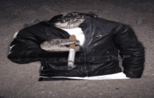 Crab In A Leather Jacket Crab GIF - Crab In A Leather Jacket Crab Leather Jacket GIFs