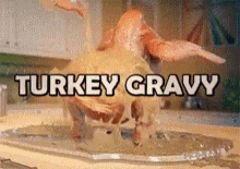 Turkey GIF - Turkey GIFs