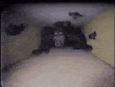 a gorilla is standing in a room with a lot of shadows .