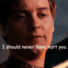 spiderman tobey maguire i should never have hurt you hurt you im sorry